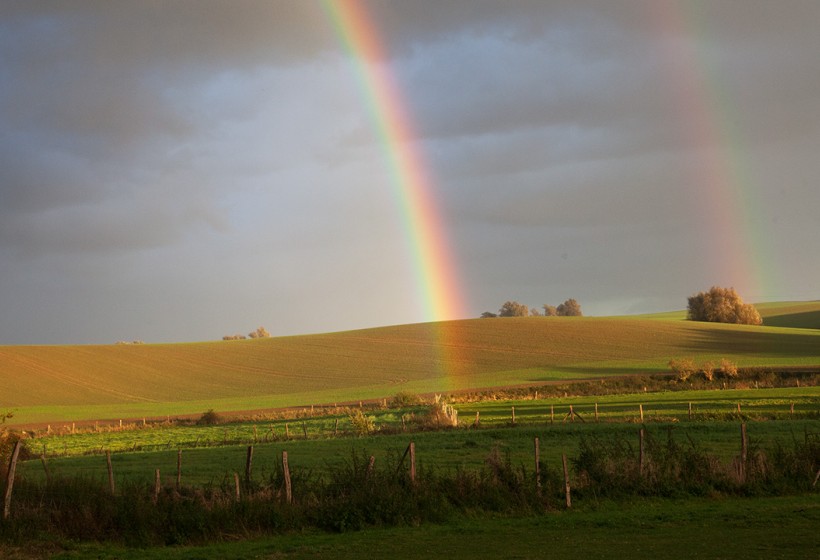 Regenbogen über der Pferdekoppel